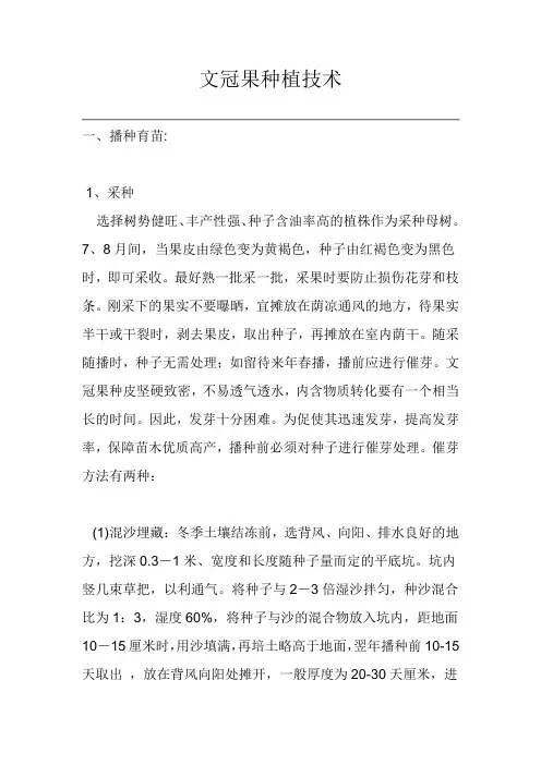 文冠果种植技术