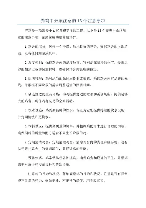 养鸡中必须注意的13个注意事项