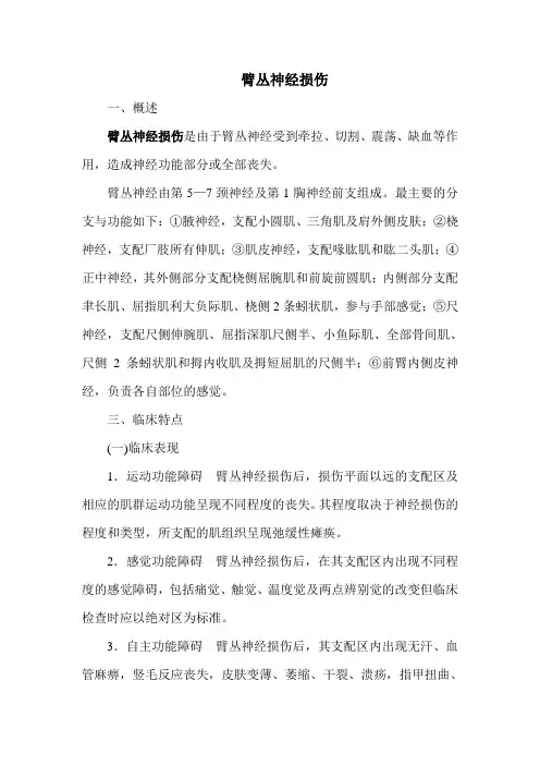 臂丛神经损伤