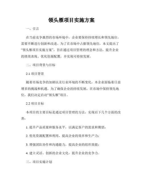 领头雁项目实施方案