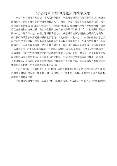 小苏打和白醋的变化教学反思