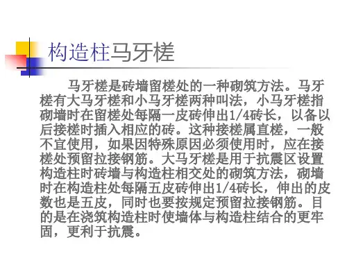 构造柱马牙槎