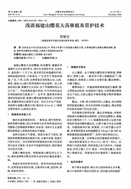 浅谈福建山樱花大苗移植及管护技术