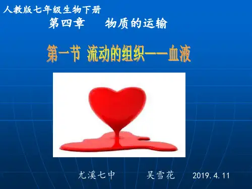 流动的组织--血液2