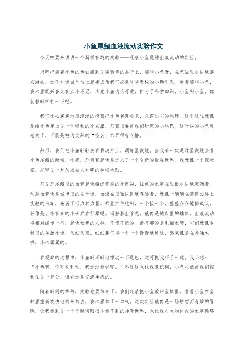 小鱼尾鳍血液流动实验作文