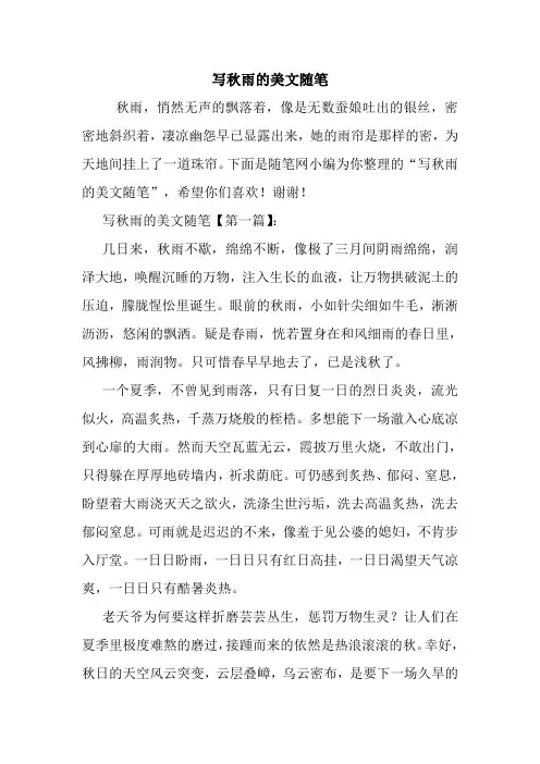 最新写秋雨的美文随笔