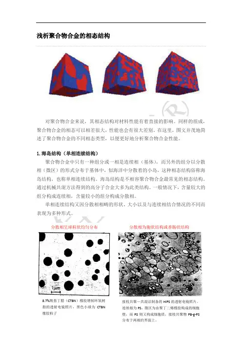 浅析聚合物合金的相态结构