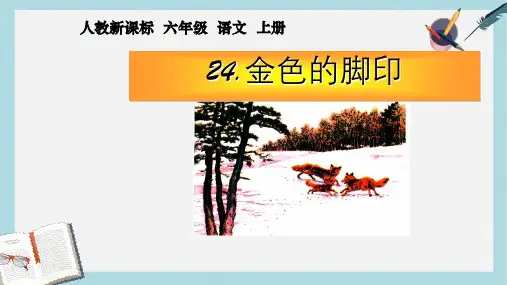 人教版小学语文六年级上册24.金色的脚印ppt课件