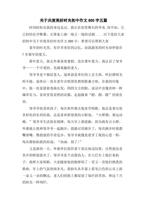 关于共度美好时光初中作文800字五篇