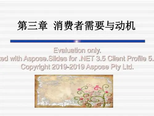 第三章消费者需与要动机-PPT精品文档