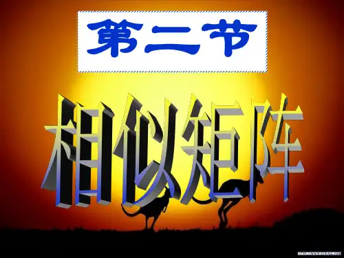 相似矩阵 PPT课件