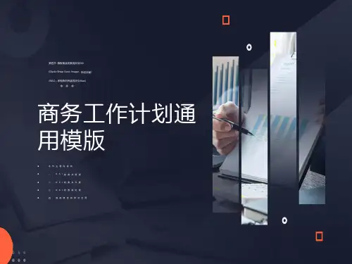 偶极横波成像测井仪DSI