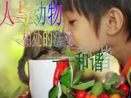 人与动物