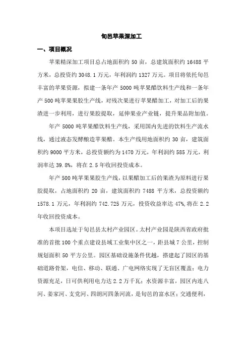 苹果深加工