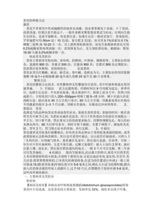 茶花的种植方法