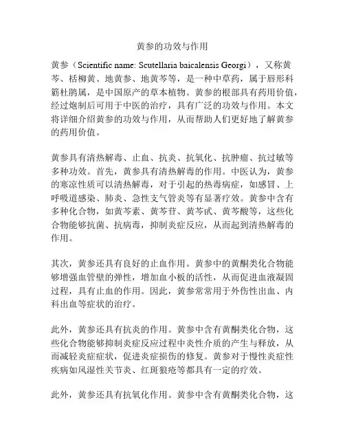 黄参的功效与作用