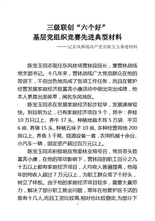 三级联创六个好基层党组织竞赛先进典型材料(陈宝玉)[2]