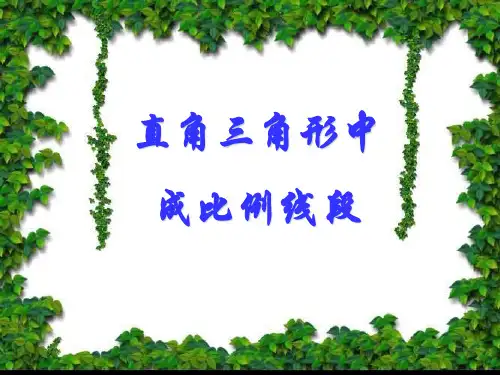 直角三角形中成比例线段