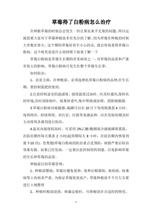 草莓得了白粉病怎么治疗