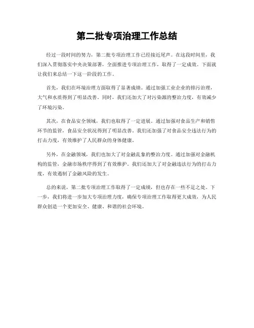 第二批专项治理工作总结