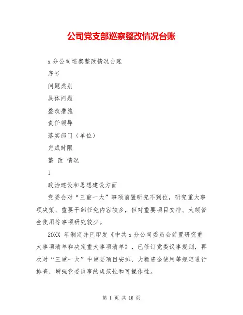 公司党支部巡察整改情况台账