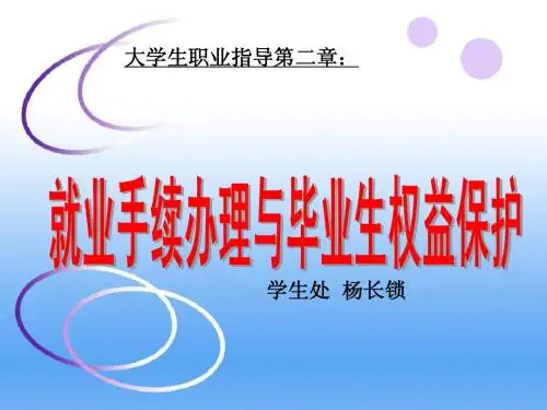 就业手续办理与毕业生权益保护