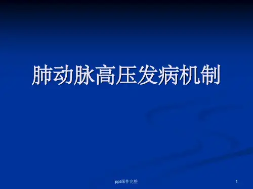 肺动脉高压发病机制ppt课件