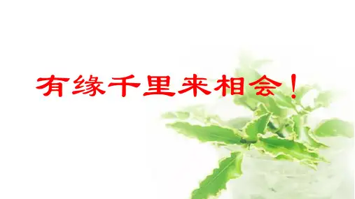 高中物理优秀课件《动能定理ppt》