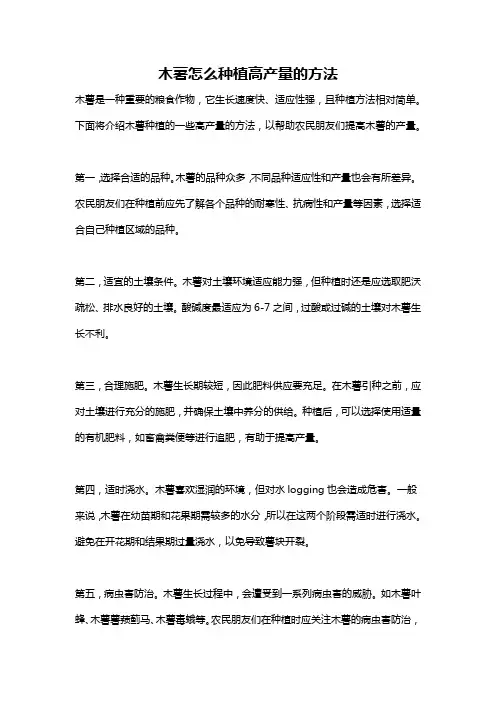 木薯怎么种植高产量的方法