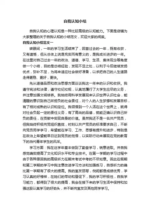 自我认知小结
