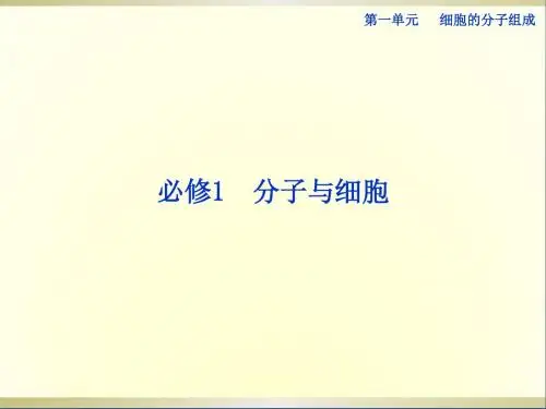 高考生物一轮复习第1讲无机物、糖类和脂质课件浙科版
