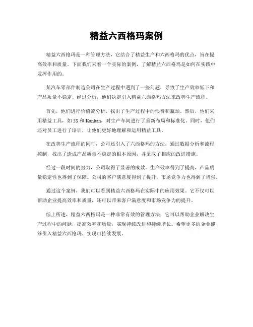 精益六西格玛案例