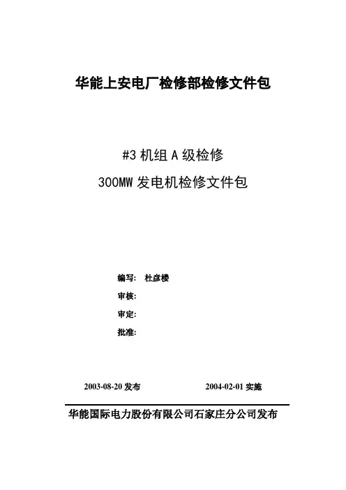 300MW发电机A级检修作业指导书1解读
