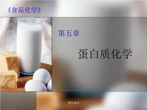 食品化学-第5章-蛋白质化学