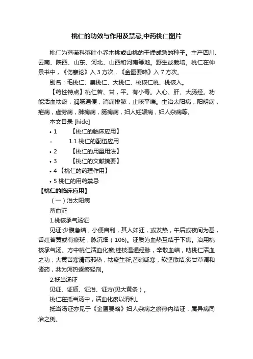桃仁的功效与作用及禁忌,中药桃仁图片