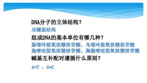 人教版高中生物必修二第三章第3节《DNA分子的复制》优秀课件(共25张PPT)