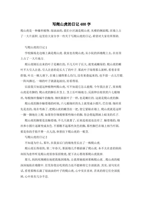 写爬山虎的日记400字