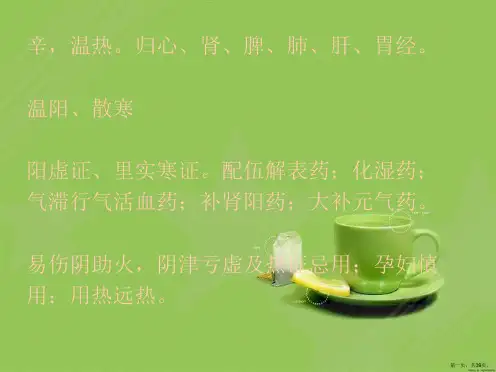 中药学温里理气药