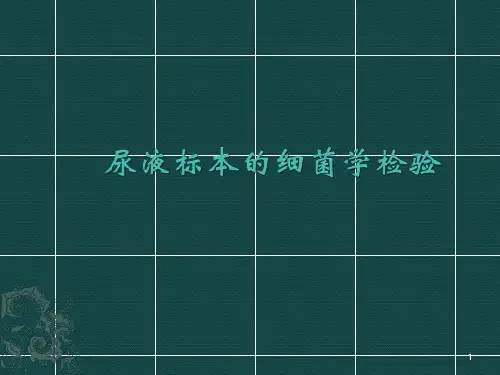 尿液标本细菌学检验大全ppt课件