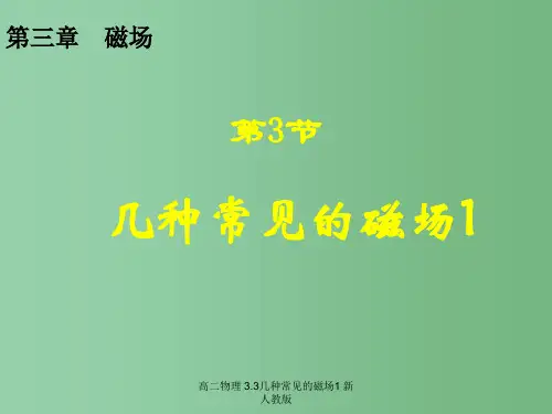 高二物理 3.3几种常见的磁场1 新人教版