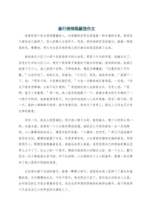 善行悄悄唤醒我作文