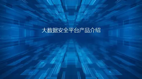 BDS大数据安全平台产品介绍