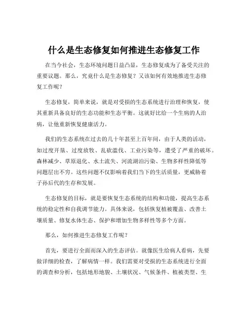 什么是生态修复如何推进生态修复工作