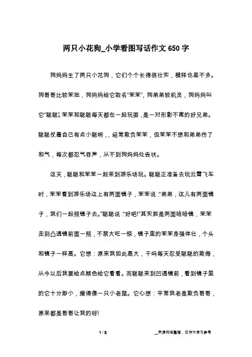 两只小花狗_小学看图写话作文650字