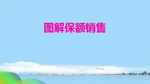 图解保额销售(共18张PPT)