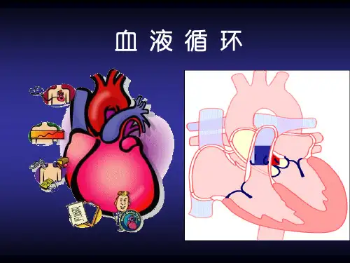 第四章第一节心脏的泵血功能