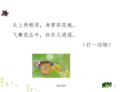 部编版二下22.小毛虫ppt课件