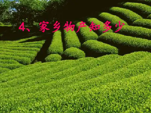 家乡的物产知多少PPT课件∣人民未来版