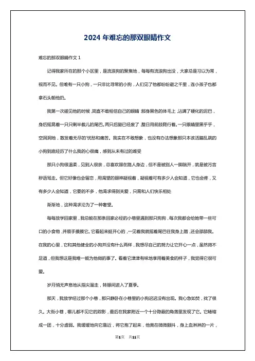 2024年难忘的那双眼睛作文
