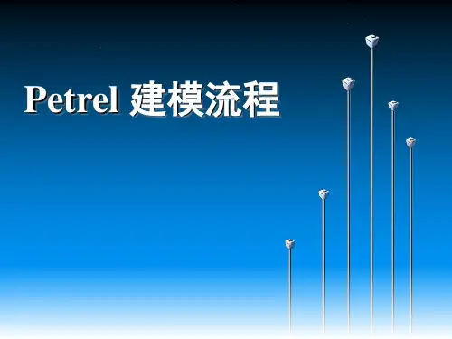 Petrel教程